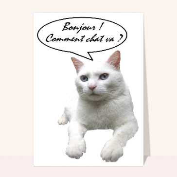 Comment chat va ?