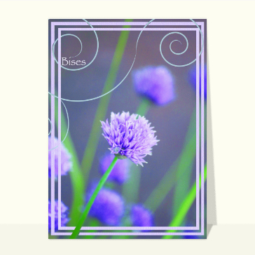 carte pour dire bonjour : Bises avec une fleur violette