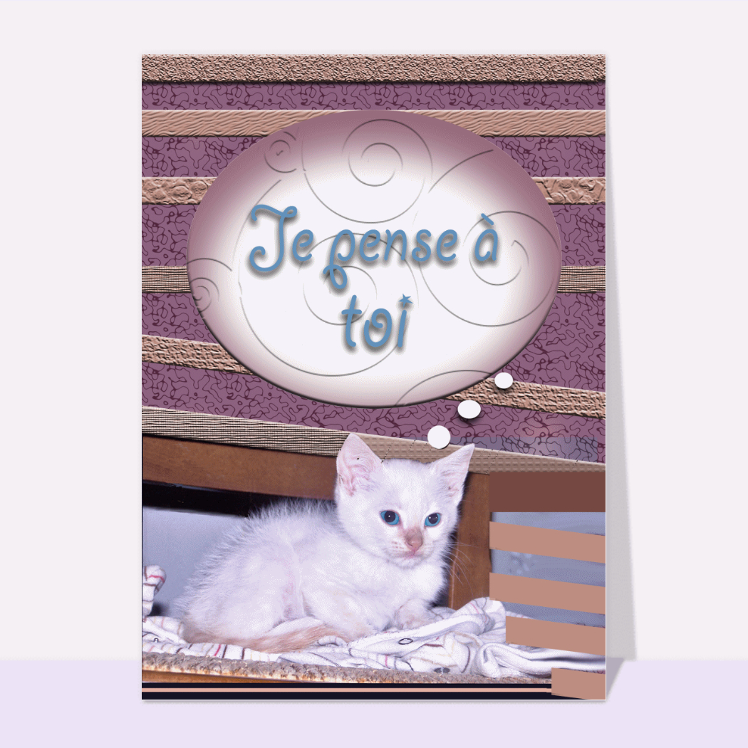 Carte Petit Chat Je Pense A Toi Envoyer Une Vraie Carte Pour Dire Bonjour Des 0 99 Merci Facteur