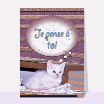 carte pour dire bonjour : Petit chat je pense à toi