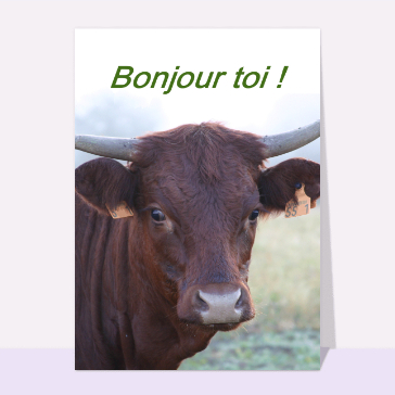 Dire bonjour : Bonjour toi la vache