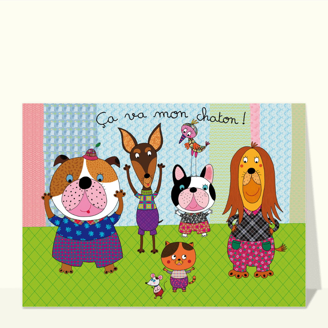Carte Ca Va Mon Chaton Envoyer une vraie Carte Pour Dire Bonjour dès 0,99€ Merci Facteur