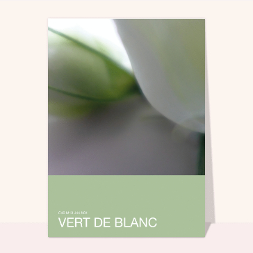 Dire bonjour : Vert de Blanc