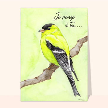 Carte Chardonneret jaune Je penses à toi