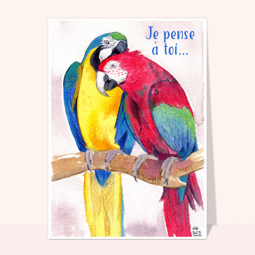 Carte Je pense à toi et jolis perroquets
