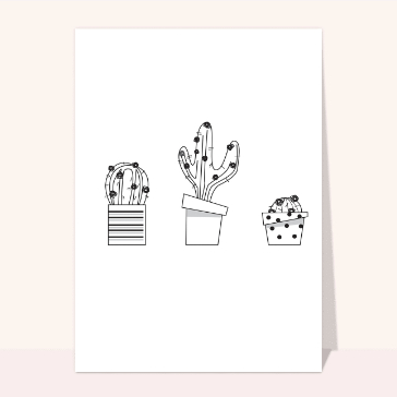 carte divers : Trois cactus