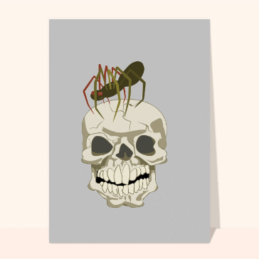 carte halloween : Araignee sur une tete de mort