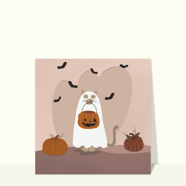 Chat d`halloween déguisé en fantôme