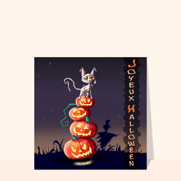 Halloween petit chat momie