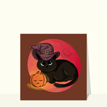 Chat noir et sa citrouille