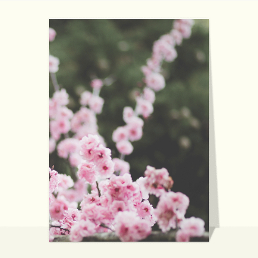 Carte d'avril et du printemps : Fleuraison printanière