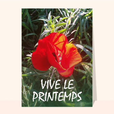 Vive le printemps