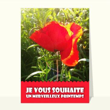 Un merveilleux printemps