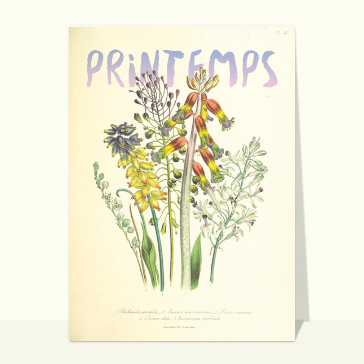 Fleurs de printemps