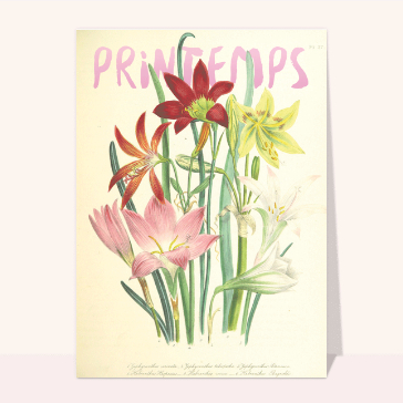 Jolies fleurs de printemps