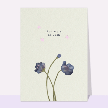 Bon mois de juin et petites étoiles