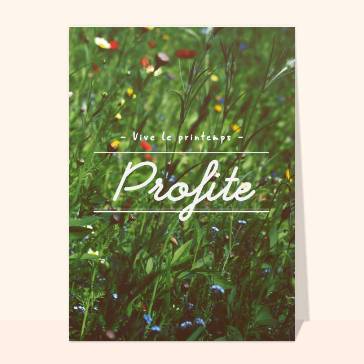 Profite du printemps