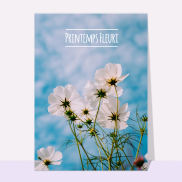 Printemps fleuri