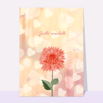 Juillet ensoleillé et jolie fleur
