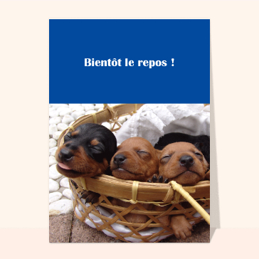 Du repos pour les petits chiots