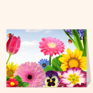 Carte postale de Juillet et d'été : Carte postale pleine de fleurs
