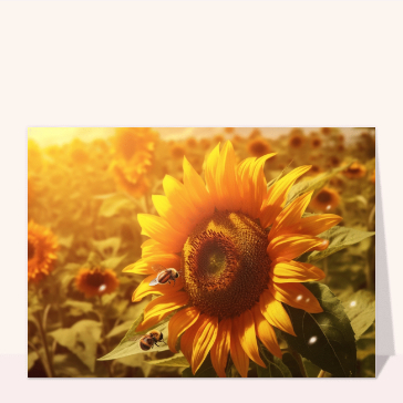 Une abeille sur un tournesol