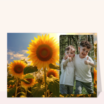 Grand soleil sur champs de tournesol