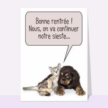 On continue la sieste
