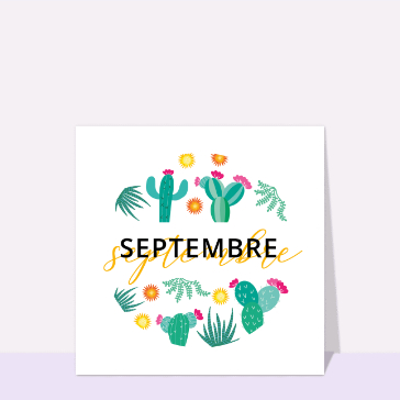 Carte Septembre et motifs cactus blanc
