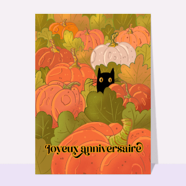 Citrouilles et chat noir pour un anniversaire