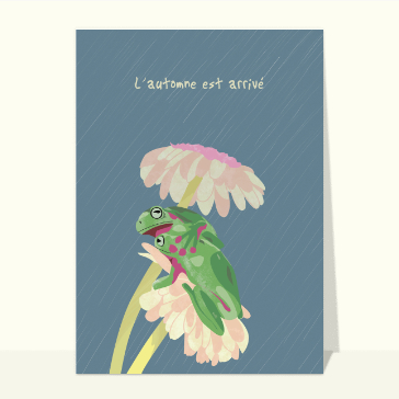 Les grenouilles qui s'abritent