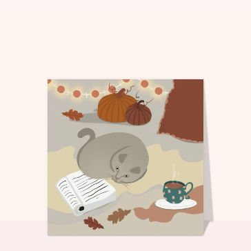 Cocooning d`automne