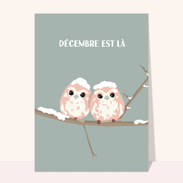 Petits oiseaux de décembre