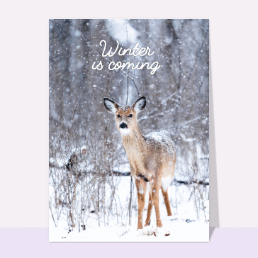 Carte de Février et d'hiver : Winter is coming et le faon