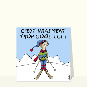 Marmotte qui fait du ski