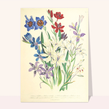 Carte fleuri d`avril