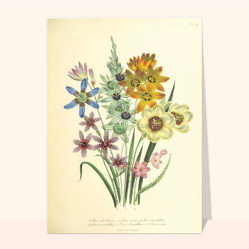 Bouquet printanier