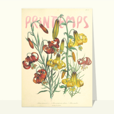 Fleurs jaunes et rouge