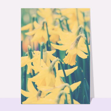 Le printemps arrive