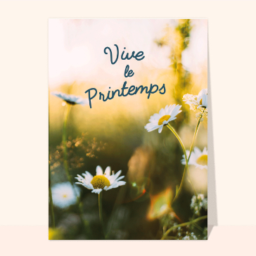 Jolies fleurs de printemps