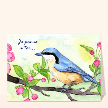 Carte Sittelle torchepot sur une branche de cerisier