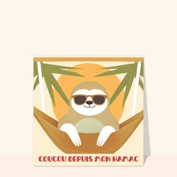 Hamac et pause estivale avec un paresseux