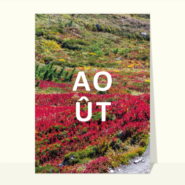Mois d'août paysage fleuri