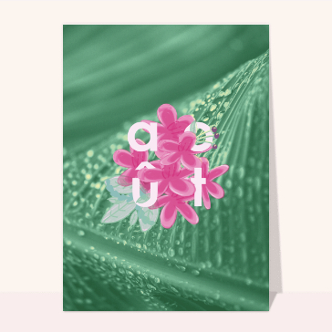 Août fleuri