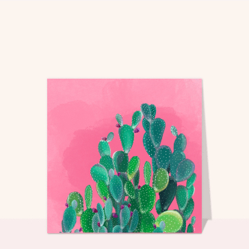 Carte postale d'août et vacances : Cactus sur fond rose