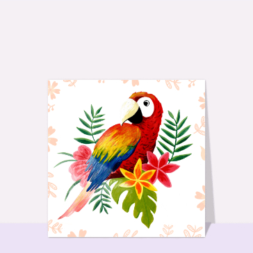 Perroquet exotique Cartes postales d'août et vacances