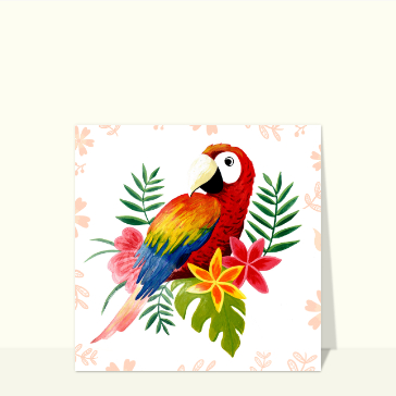 Perroquet exotique