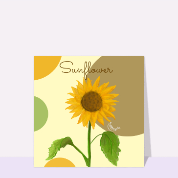Sunflower