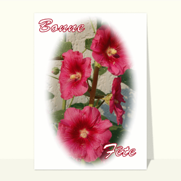 Carte sainte Catherine : Bonne fête roses tremieres