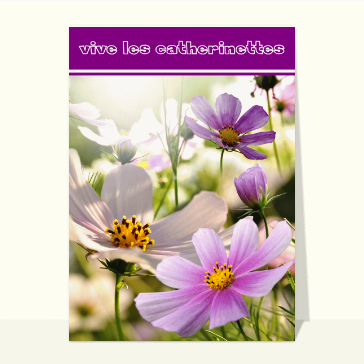 Carte sainte Catherine : Fleur violette, vive les catherinettes